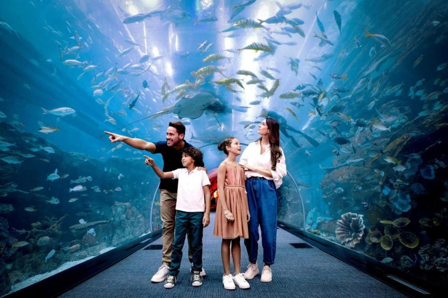 Burj Khalifa And Aquarium - Yala Travels