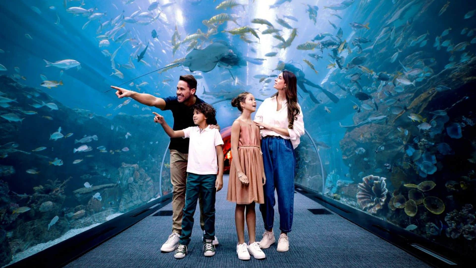 Underwater Zoo Dubai Aquarium - Yala Travels