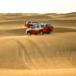 Desert safari tours